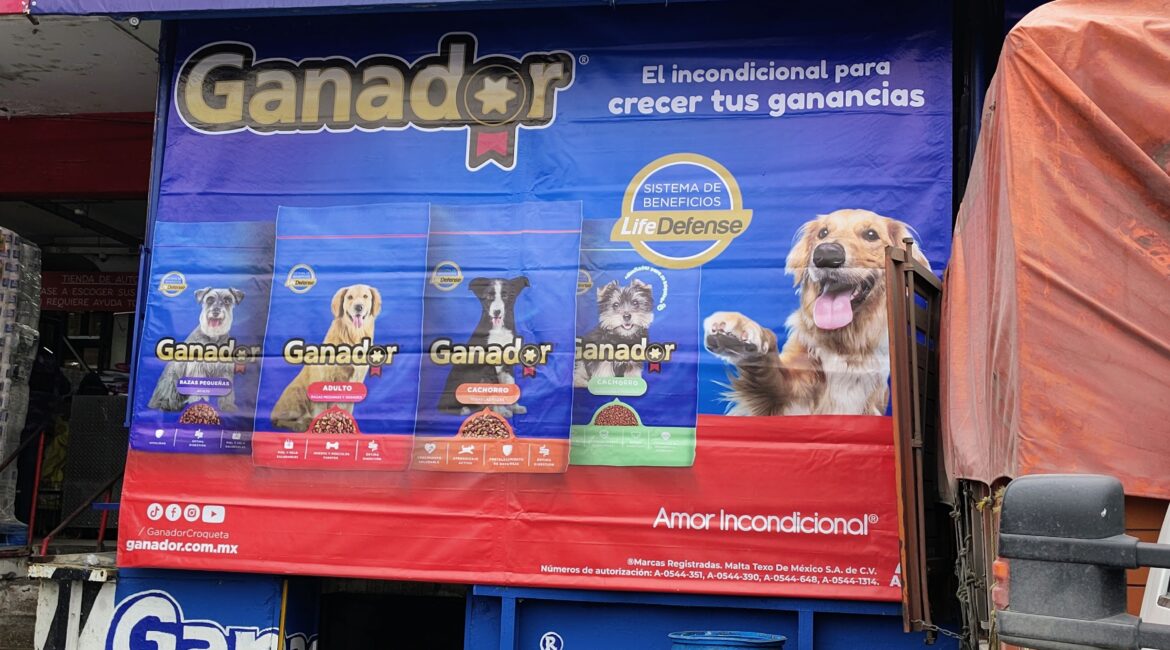 IMG_20250109_131724967_HDR_AE